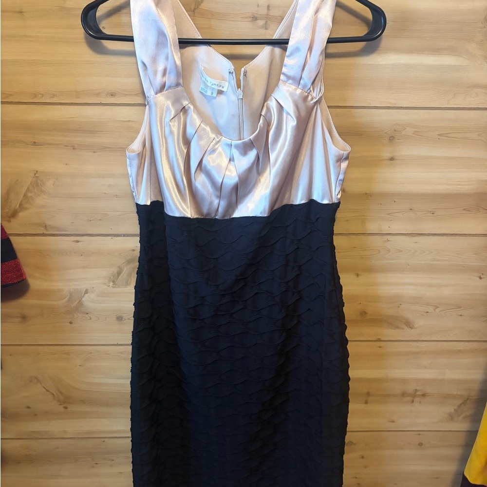Elegant Black and Tan Women's Dress
